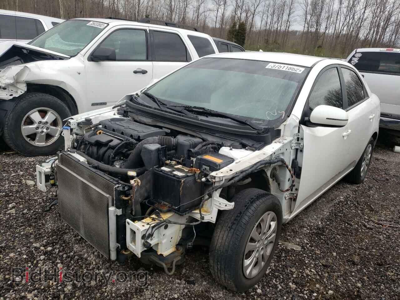 2011 KIA FORTE - VIN: KNAFU4A25B5464748 - Фото 2