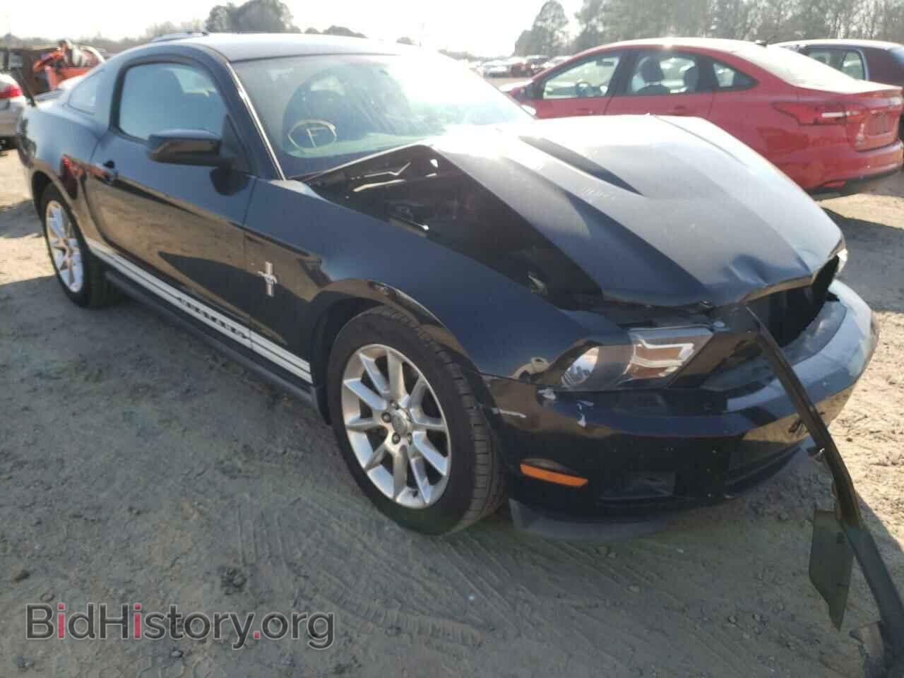 Photo 1ZVBP8AM5B5133005 - FORD MUSTANG 2011