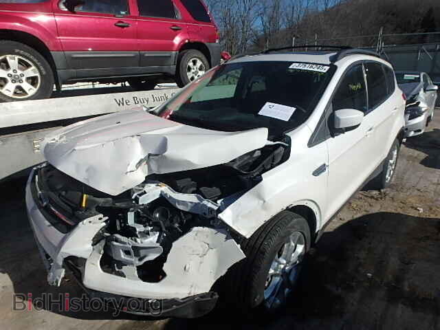 2013 FORD ESCAPE - VIN: 1FMCU9GX4DUA38950 - Фото 2