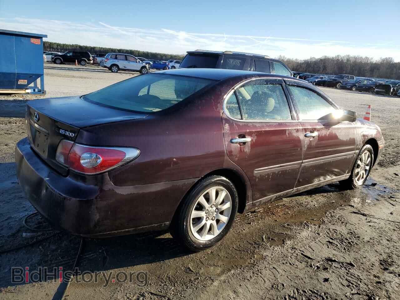 2003 LEXUS ES300 - VIN: JTHBF30GX30124527 - Фото 3