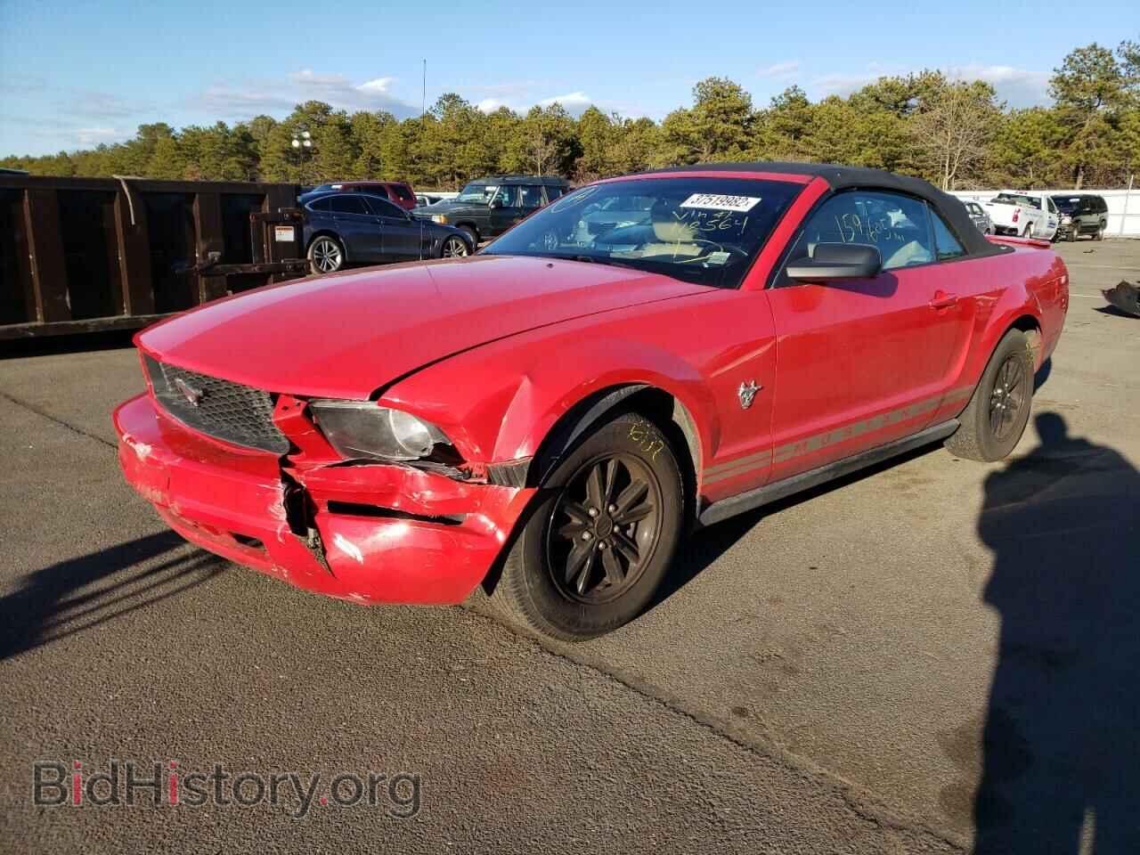 2009 FORD MUSTANG - VIN: 1ZVHT84N495118564 - Фото 2