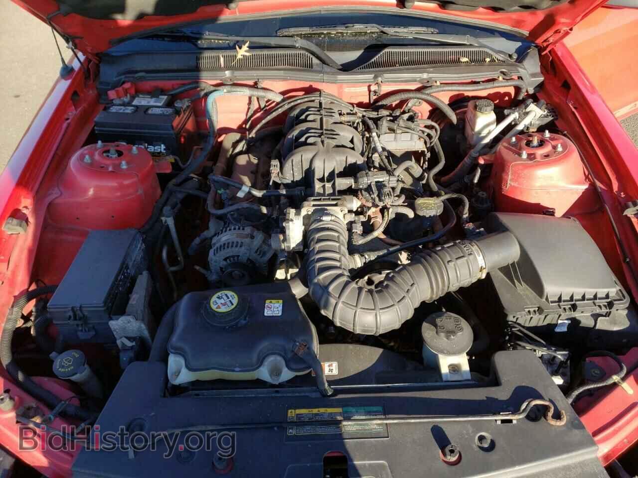 2009 FORD MUSTANG - VIN: 1ZVHT84N495118564 - Фото 7