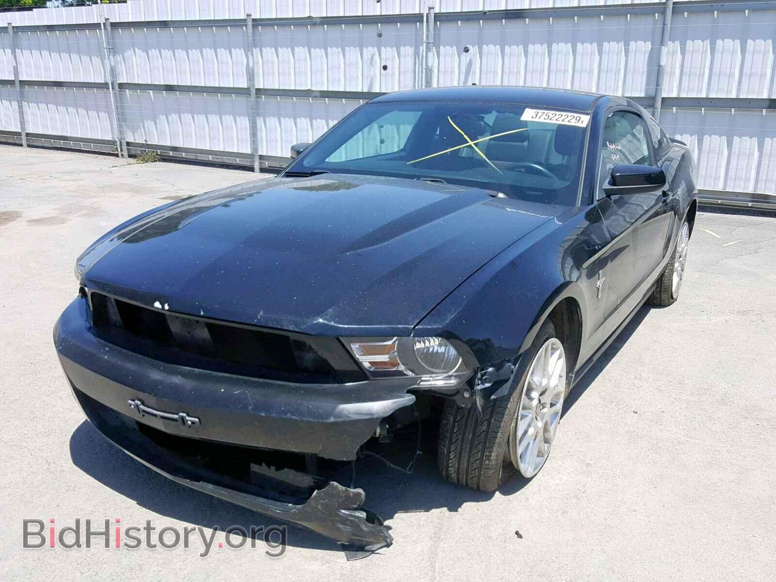 2012 FORD MUSTANG - VIN: 1ZVBP8AM2C5201231 - Фото 2