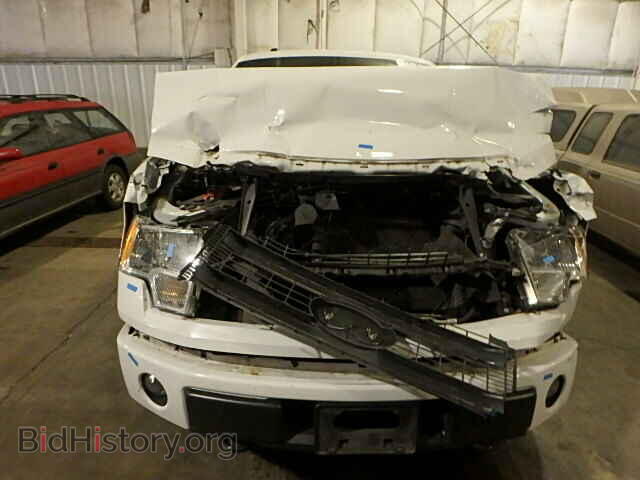 2013 FORD F150 - VIN: 1FTFX1EF0DFD11486 - Фото 7