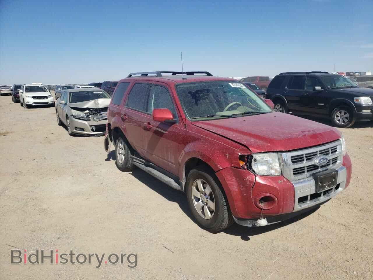 Photo 1FMCU0E7XAKB60878 - FORD ESCAPE 2010