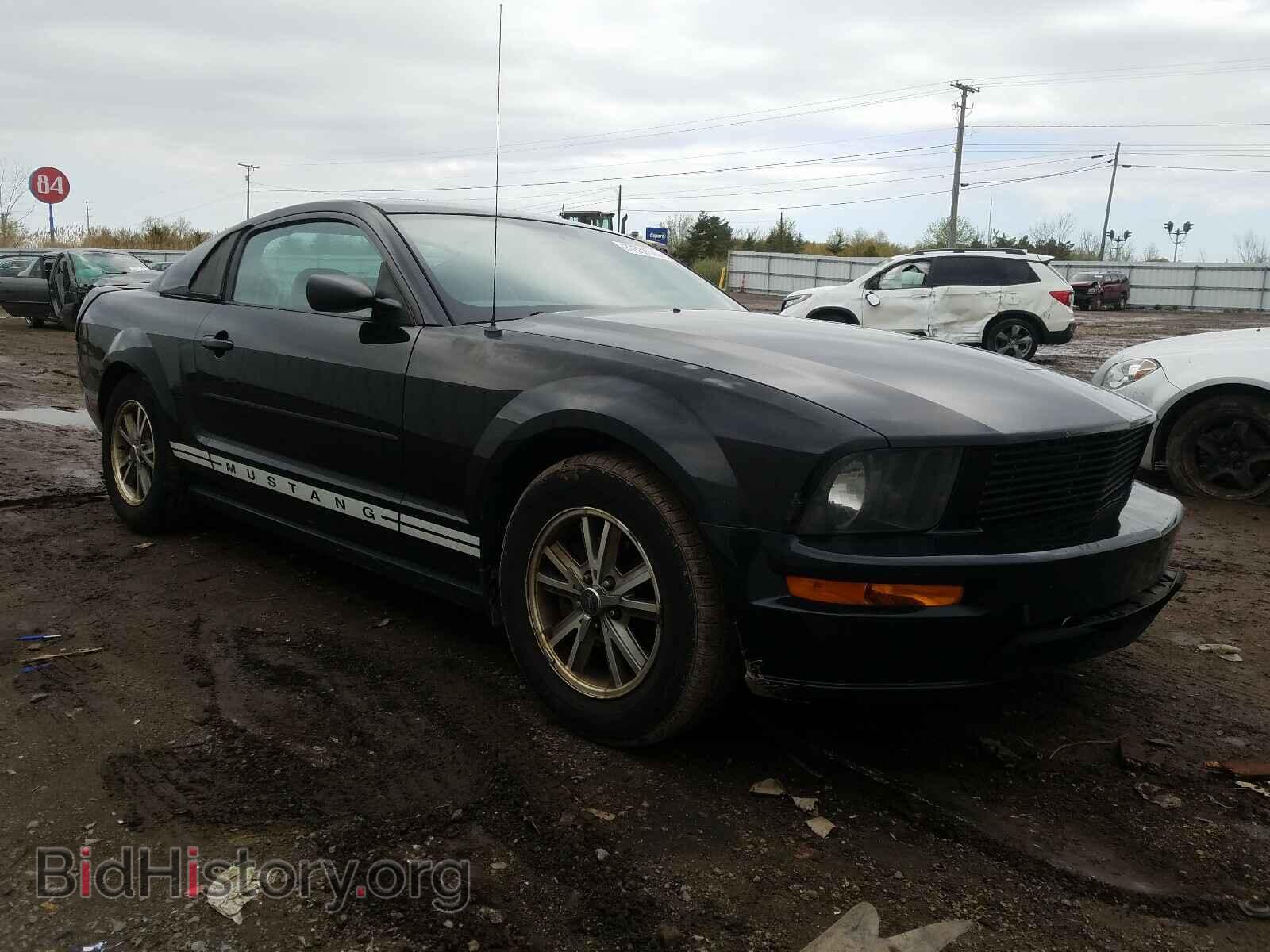 Фотография 1ZVHT80N985201279 - FORD MUSTANG 2008