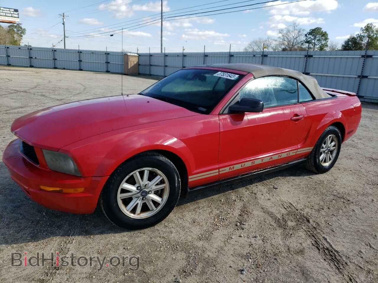 Photo 1ZVFT84NX75199204 - FORD MUSTANG 2007