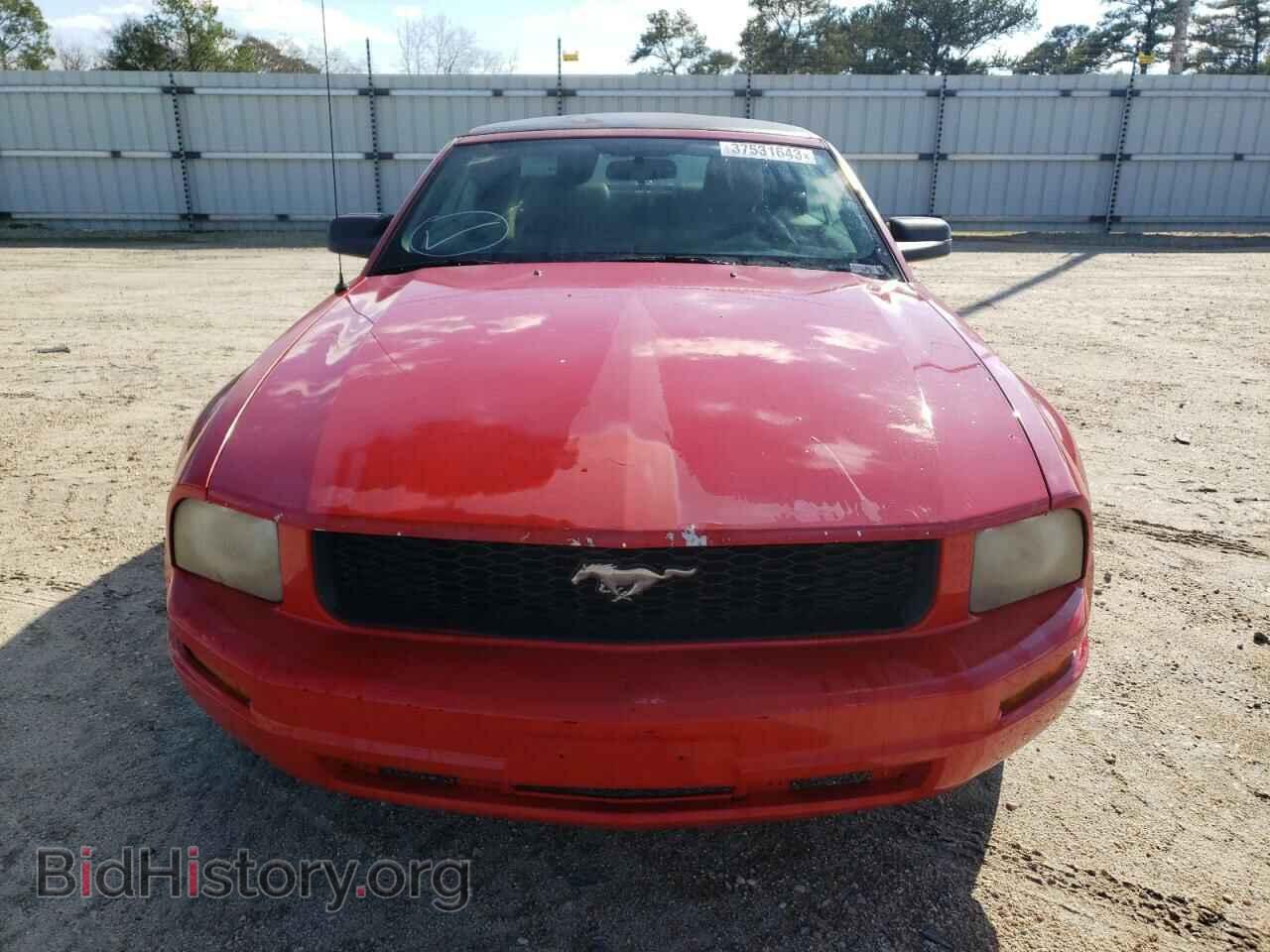 2007 FORD MUSTANG - VIN: 1ZVFT84NX75199204 - Фото 5