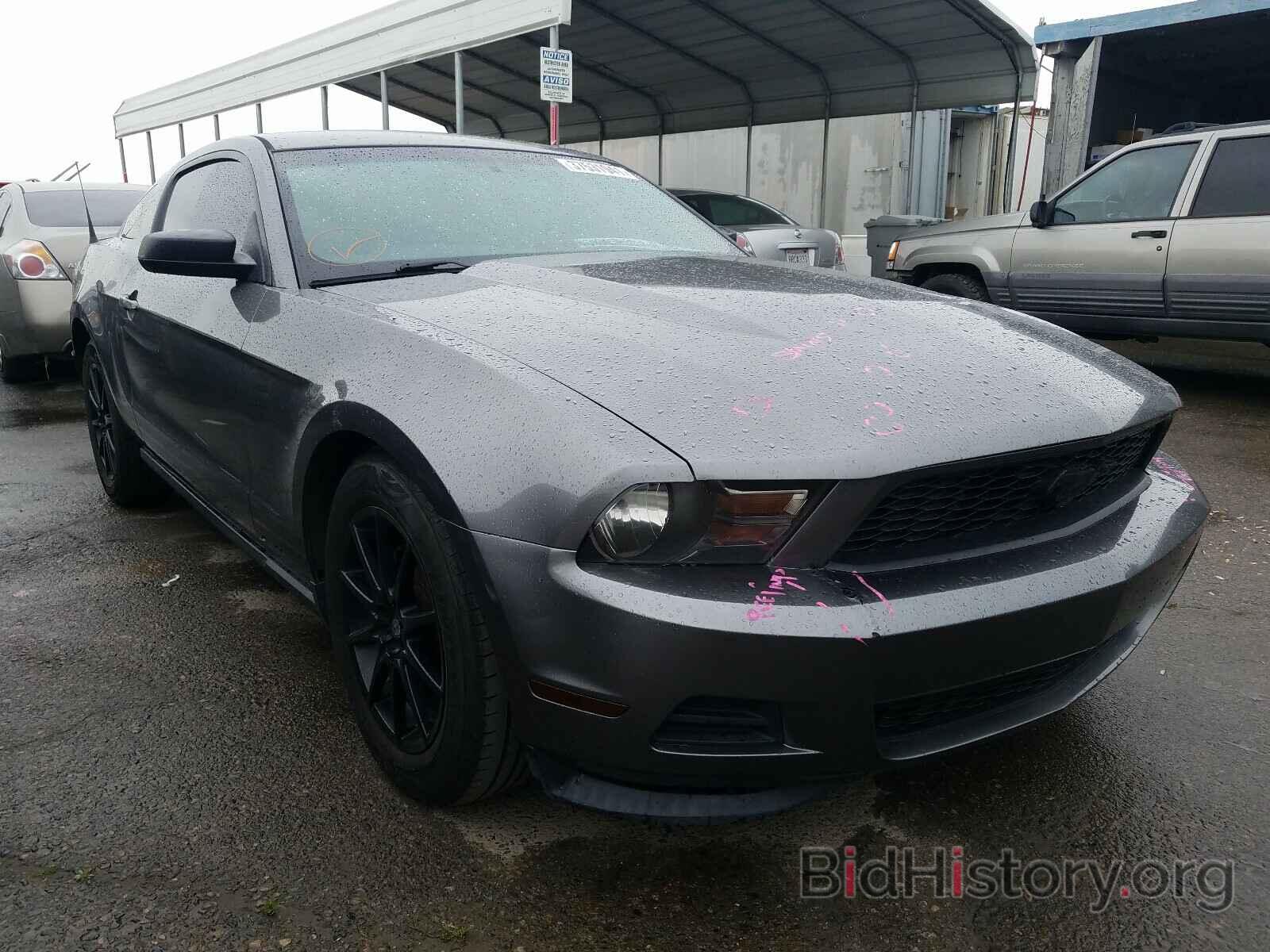 Photo 1ZVBP8AM6B5157572 - FORD MUSTANG 2011