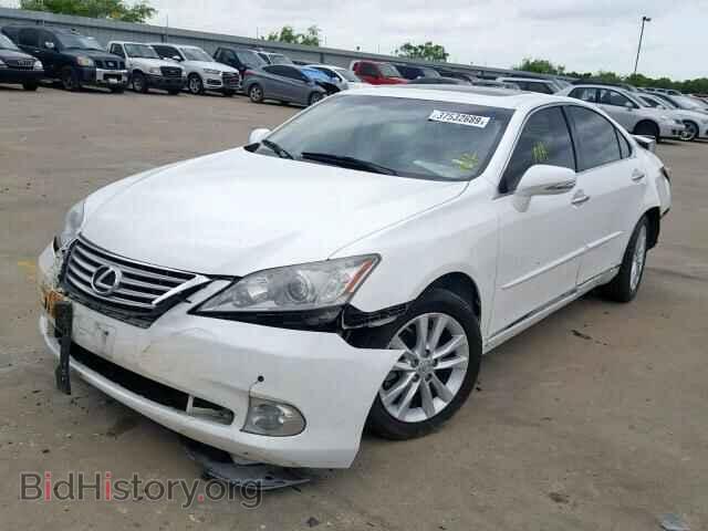 2010 LEXUS ES350 - VIN: JTHBK1EG9A2409729 - Фото 2