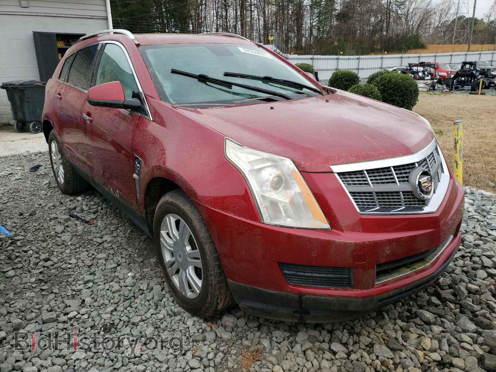 Photo 3GYFNAEY9BS537472 - CADILLAC SRX 2011