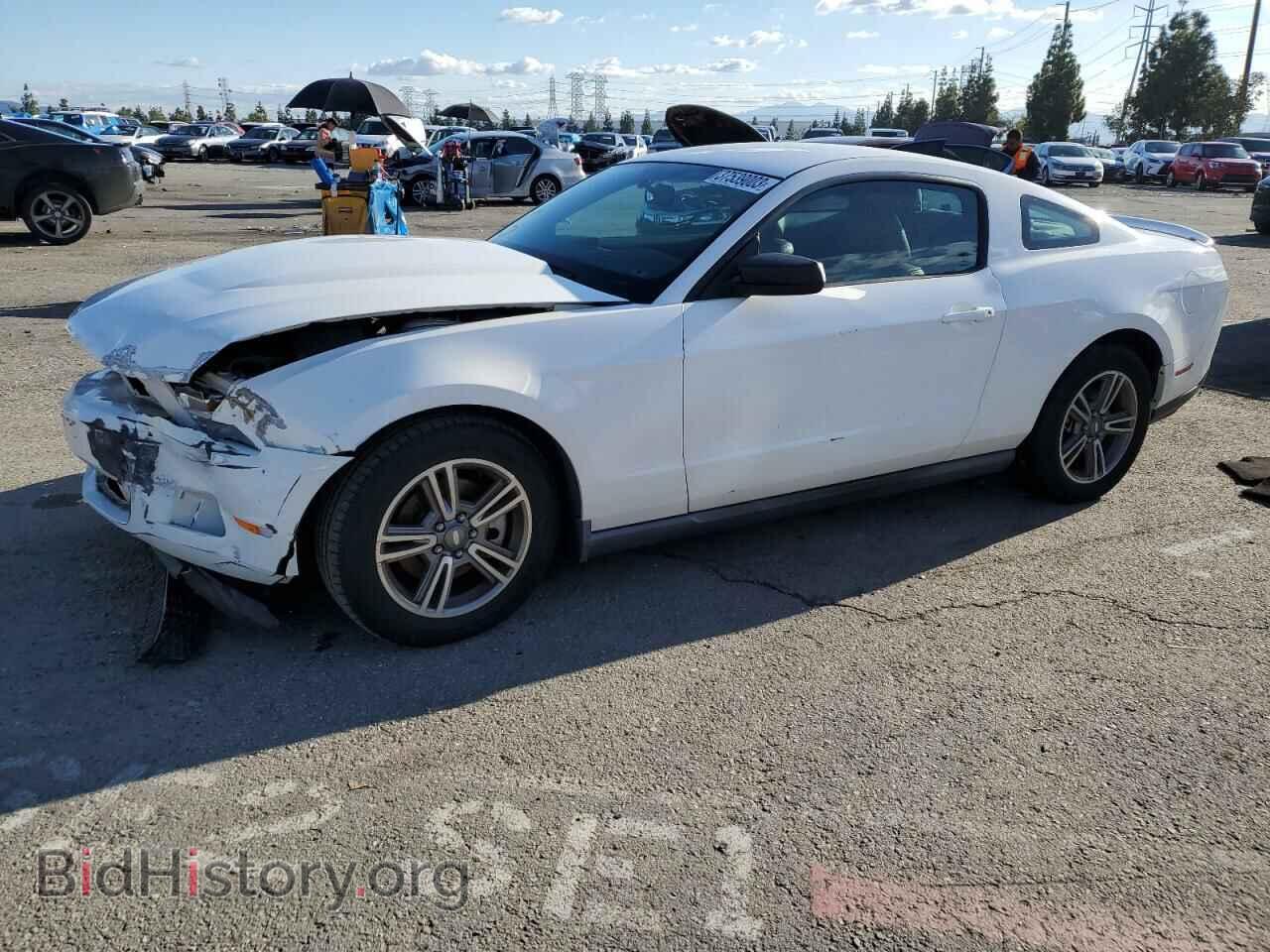 Фотография 1ZVBP8AM6B5111434 - FORD MUSTANG 2011