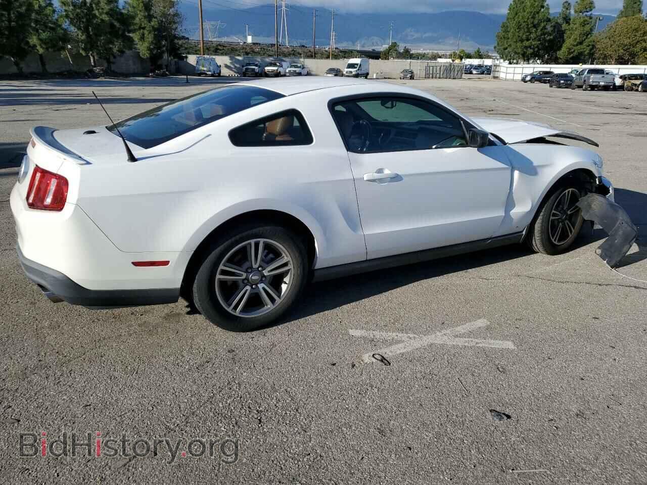 2011 FORD MUSTANG - VIN: 1ZVBP8AM6B5111434 - Фото 3