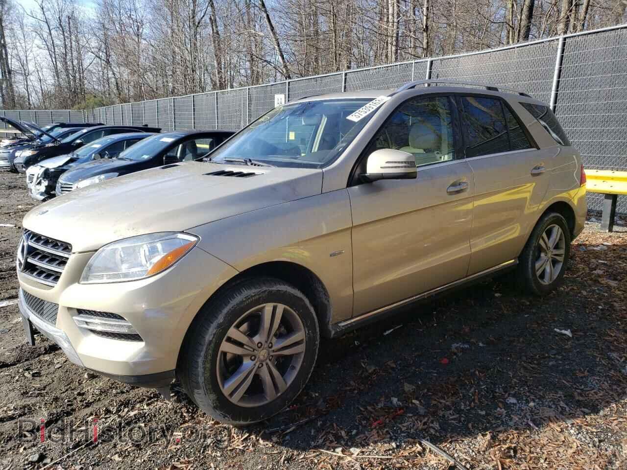 Photo 4JGDA5HB4CA017766 - MERCEDES-BENZ M-CLASS 2012