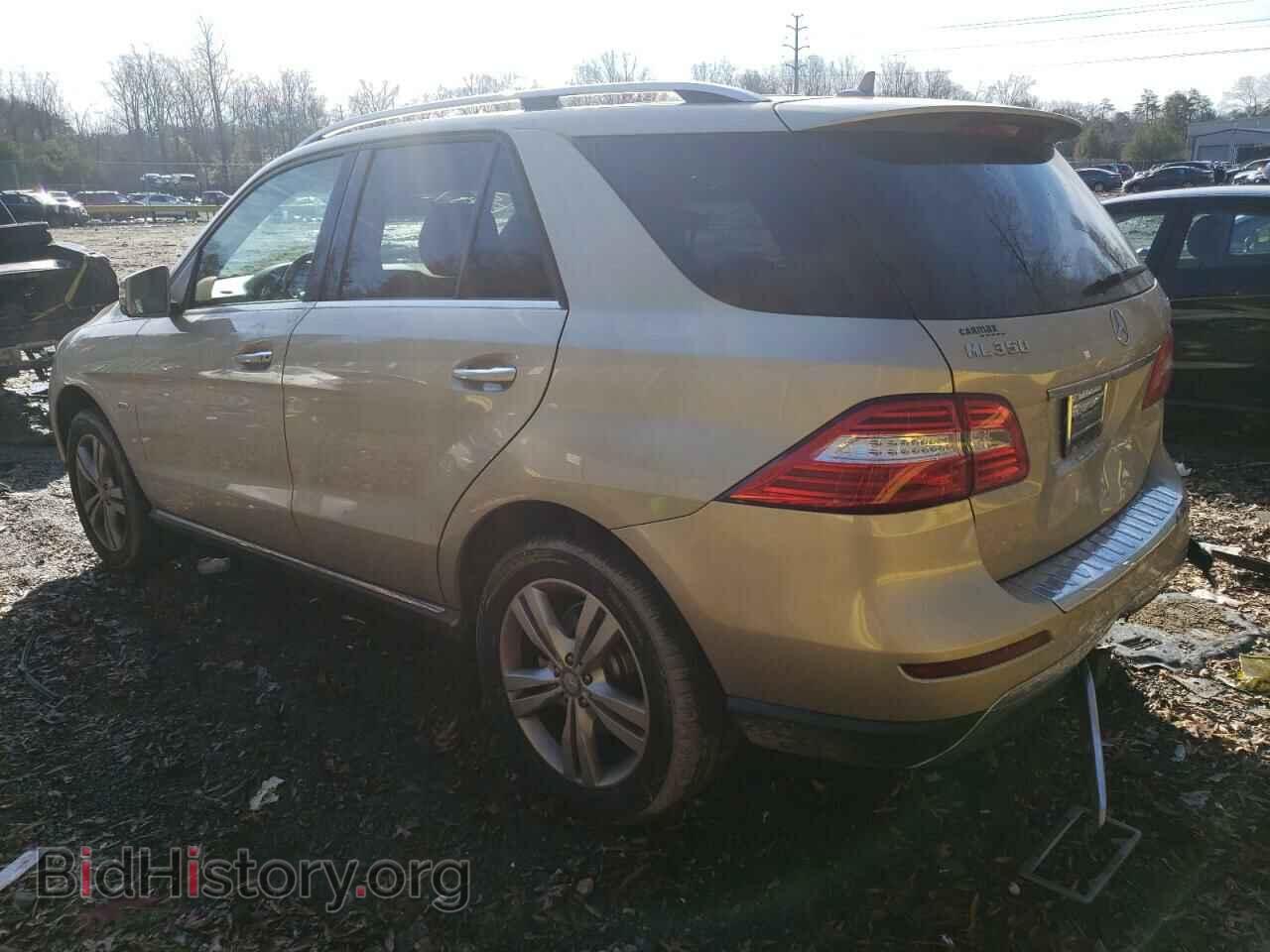 2012 MERCEDES-BENZ M-CLASS - VIN: 4JGDA5HB4CA017766 - Фото 2