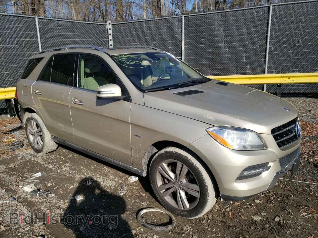 2012 MERCEDES-BENZ M-CLASS - VIN: 4JGDA5HB4CA017766 - Фото 4