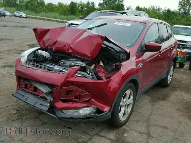 2014 FORD ESCAPE - VIN: 1FMCU0GX5EUC43934 - Фото 2