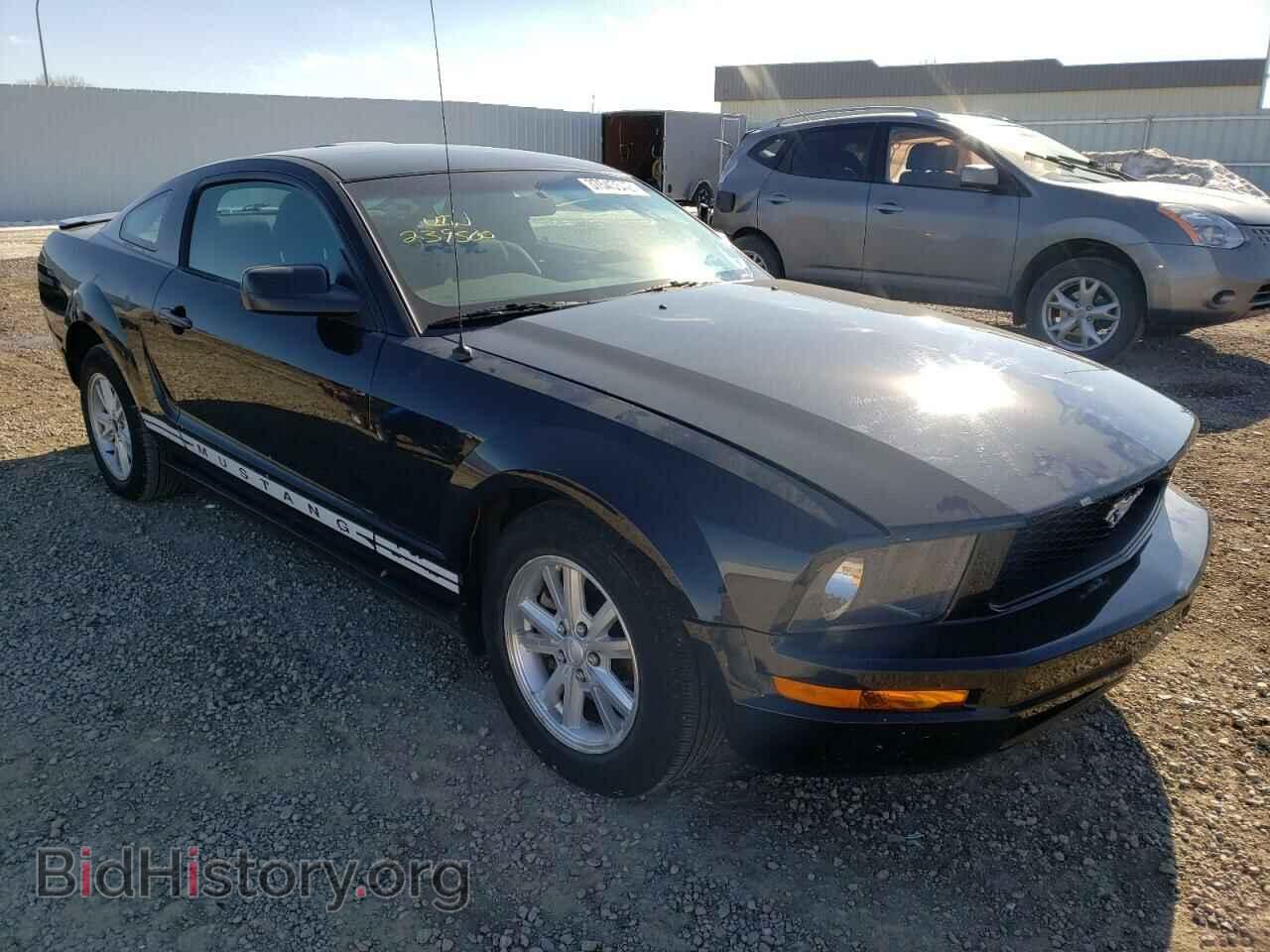Photo 1ZVFT80NX75239500 - FORD MUSTANG 2007