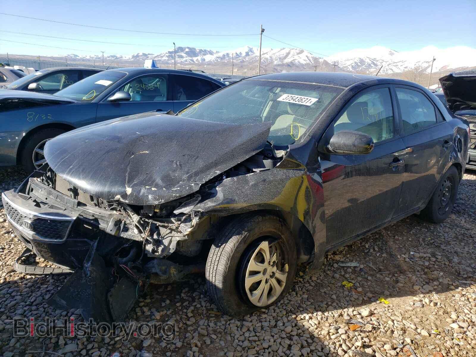 2013 KIA FORTE - VIN: KNAFT4A21D5705890 - Фото 2