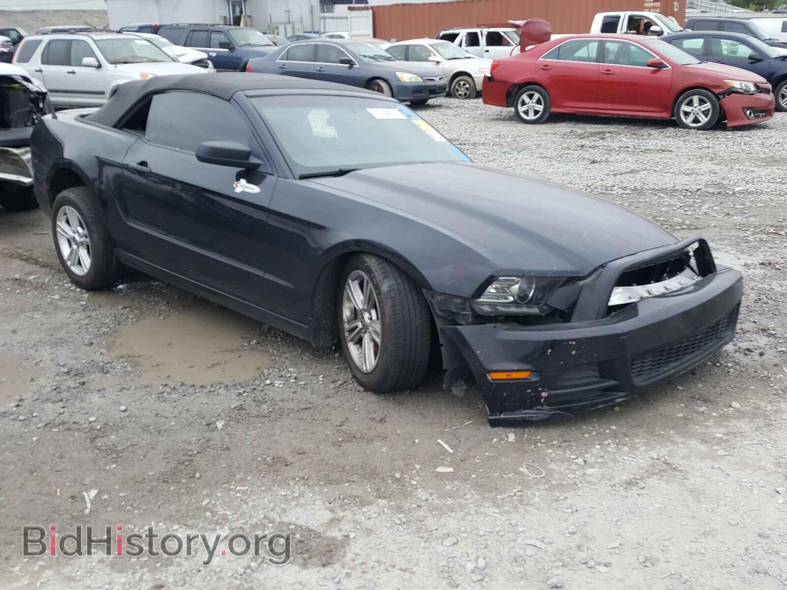 Photo 1ZVBP8EM2D5239215 - FORD MUSTANG 2013