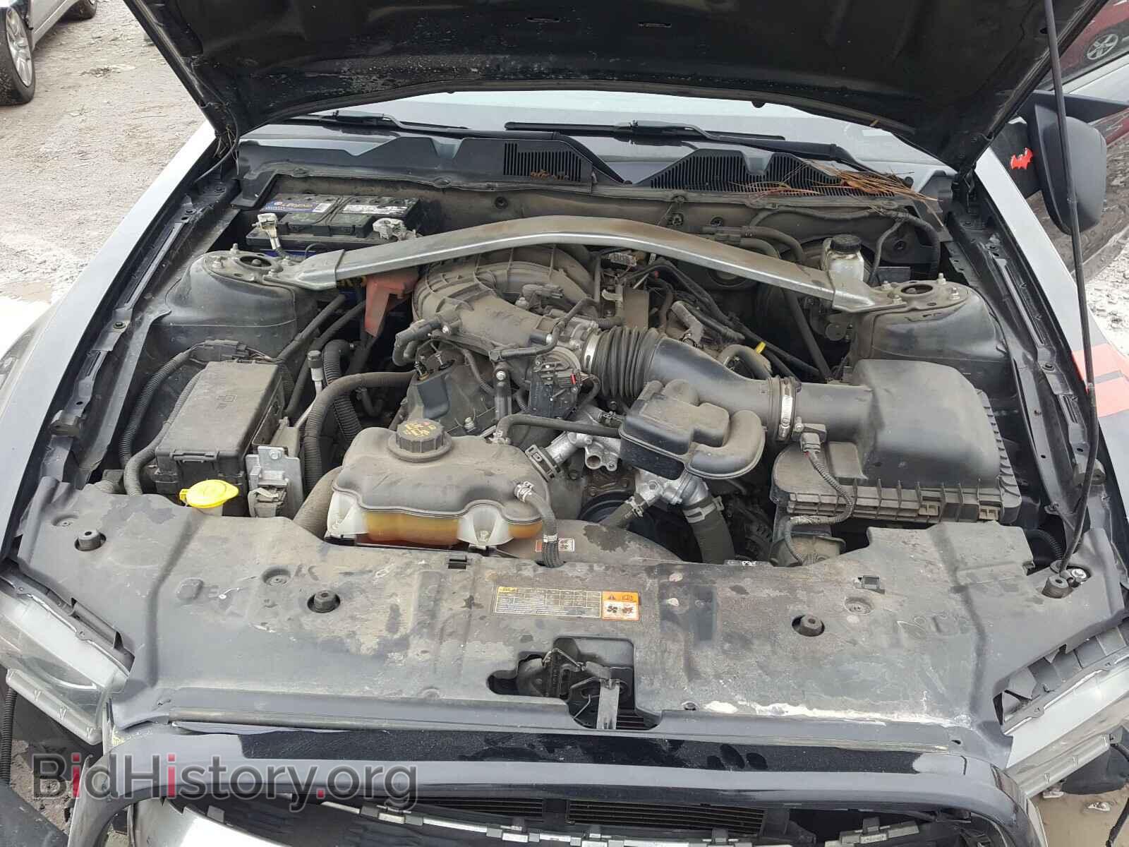 2013 FORD MUSTANG - VIN: 1ZVBP8EM2D5239215 - Фото 7