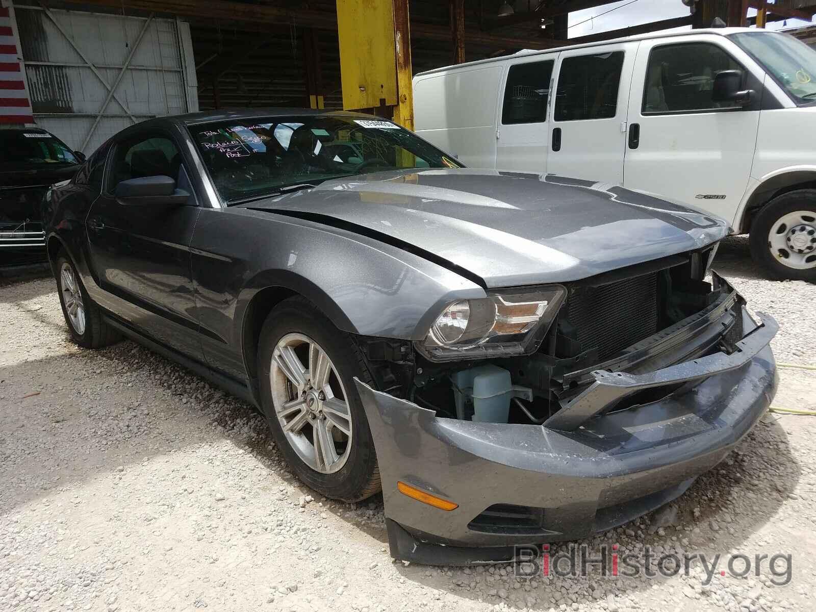 Photo 1ZVBP8AM9B5114375 - FORD MUSTANG 2011