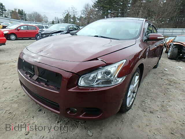 2009 NISSAN MAXIMA - VIN: 1N4AA51E19C824731 - Фото 2