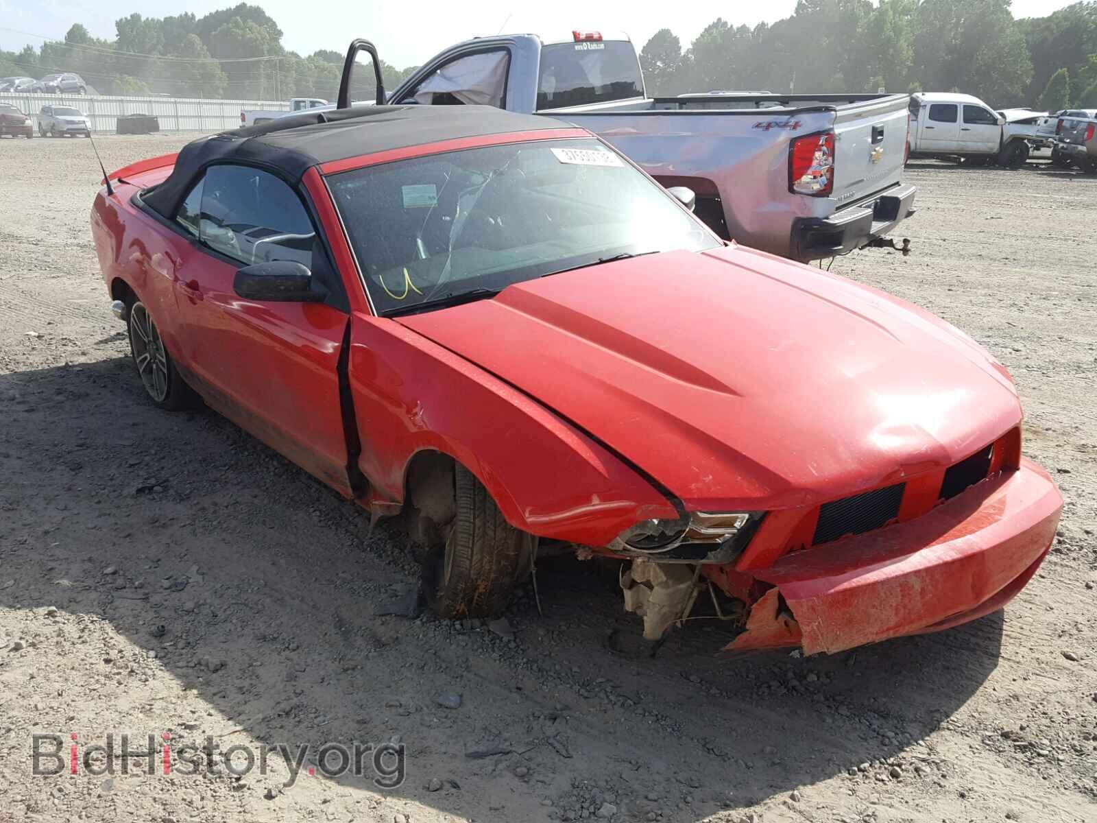 Фотография 1ZVBP8EM0C5276388 - FORD MUSTANG 2012