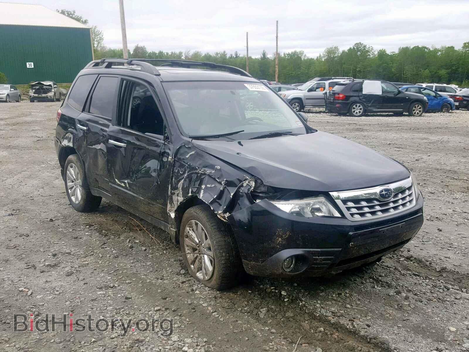 Фотография JF2SHAEC4BH715279 - SUBARU FORESTER 2011