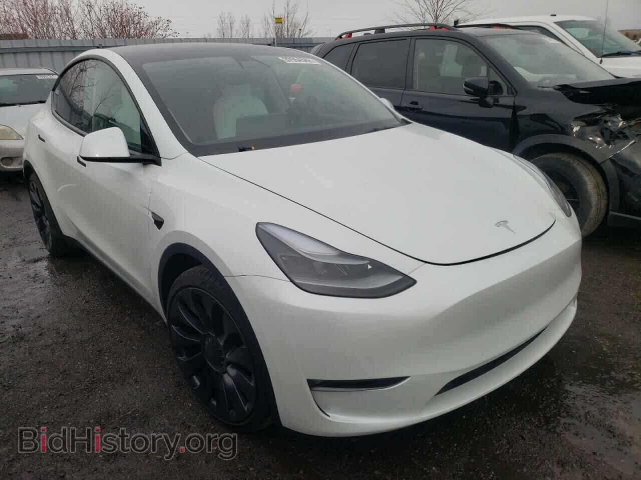 Photo 5YJYGDEF1MF264645 - TESLA MODEL Y 2021