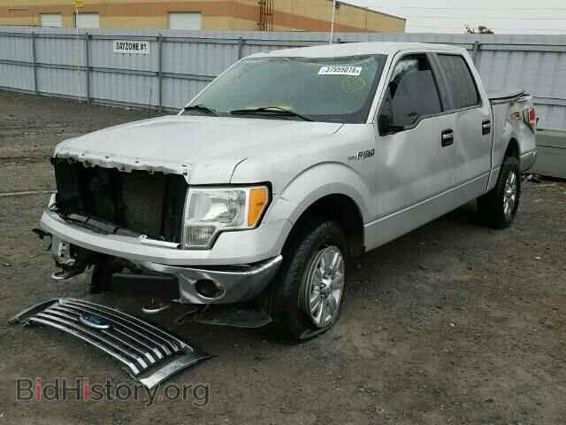 2011 FORD F150 - VIN: 1FTFW1EF2BFB34116 - Фото 2