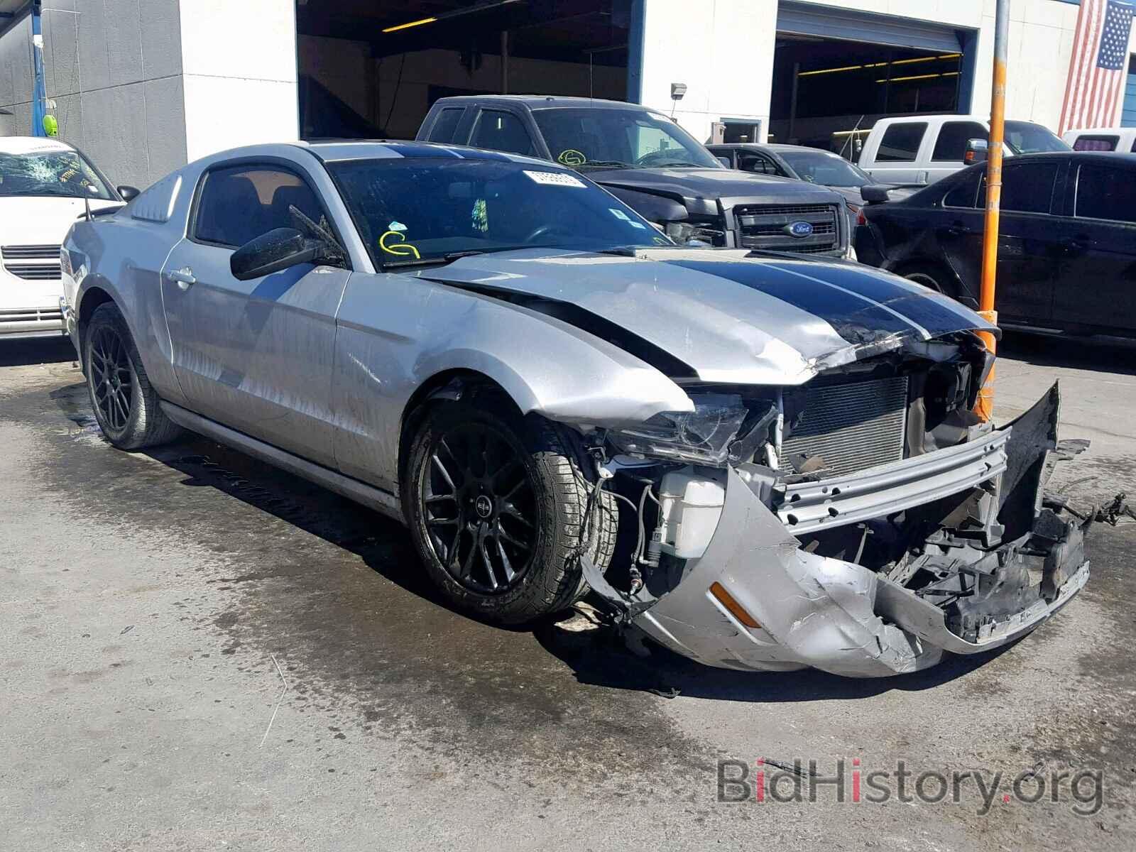 Photo 1ZVBP8AM7E5291348 - FORD MUSTANG 2014