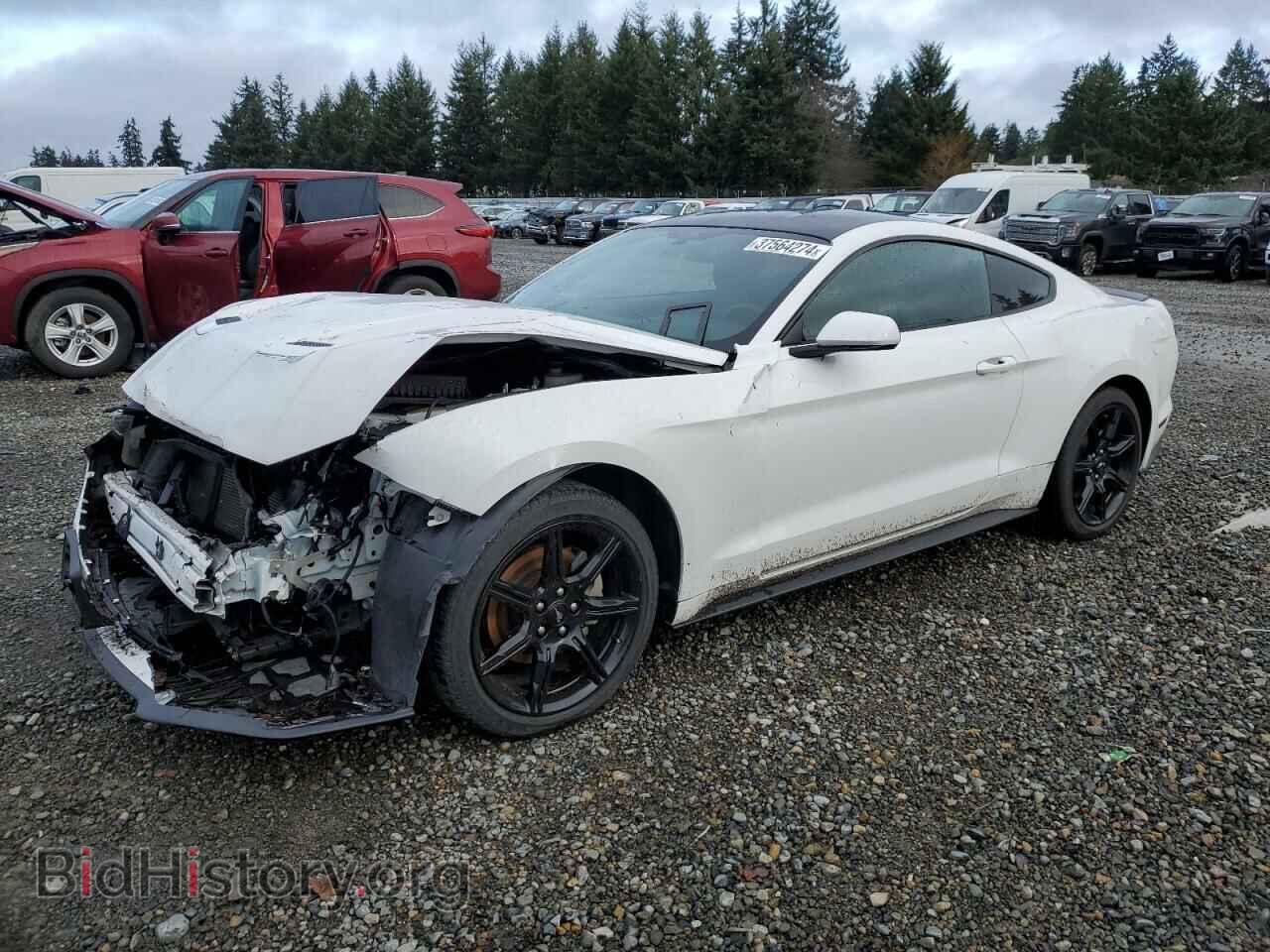 Фотография 1FA6P8TH1K5148398 - FORD ALL Models 2019
