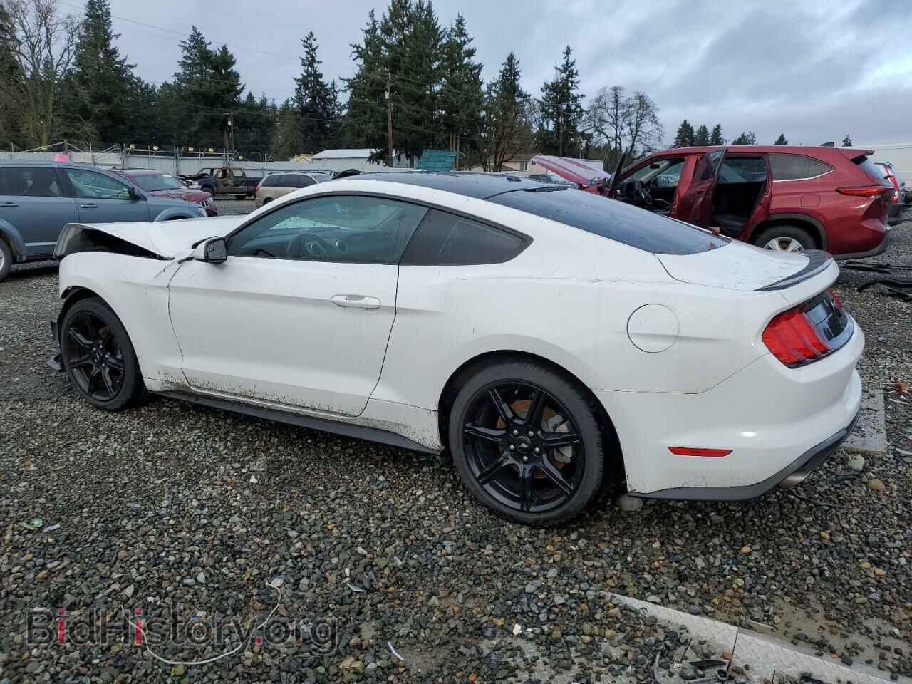 2019 FORD ALL Models - VIN: 1FA6P8TH1K5148398 - Фото 2