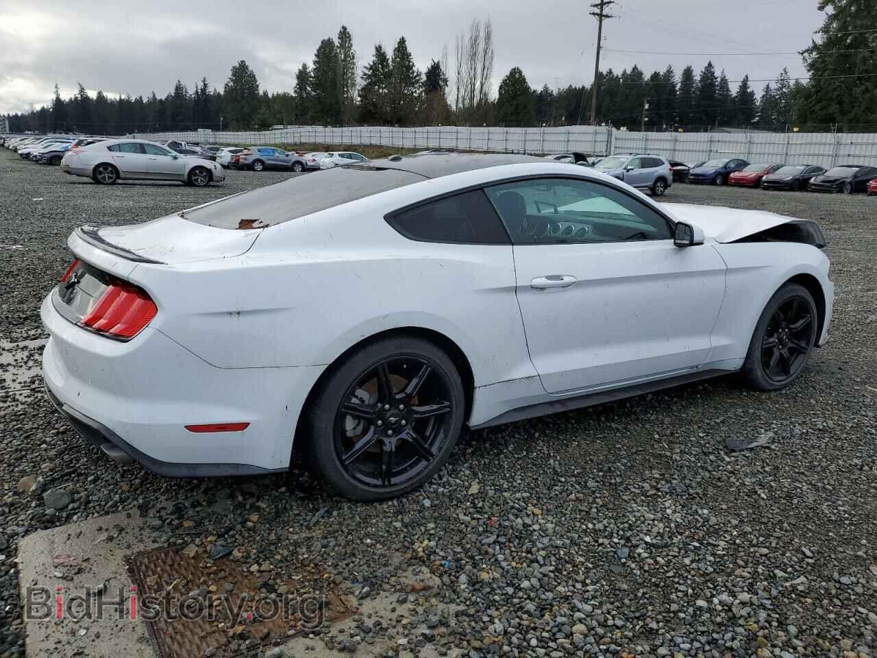2019 FORD ALL Models - VIN: 1FA6P8TH1K5148398 - Фото 3