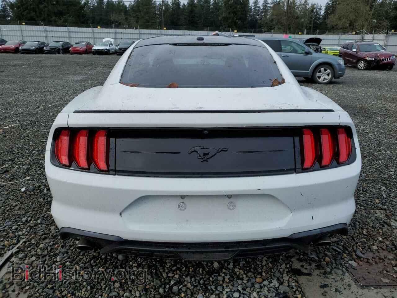 2019 FORD ALL Models - VIN: 1FA6P8TH1K5148398 - Фото 6