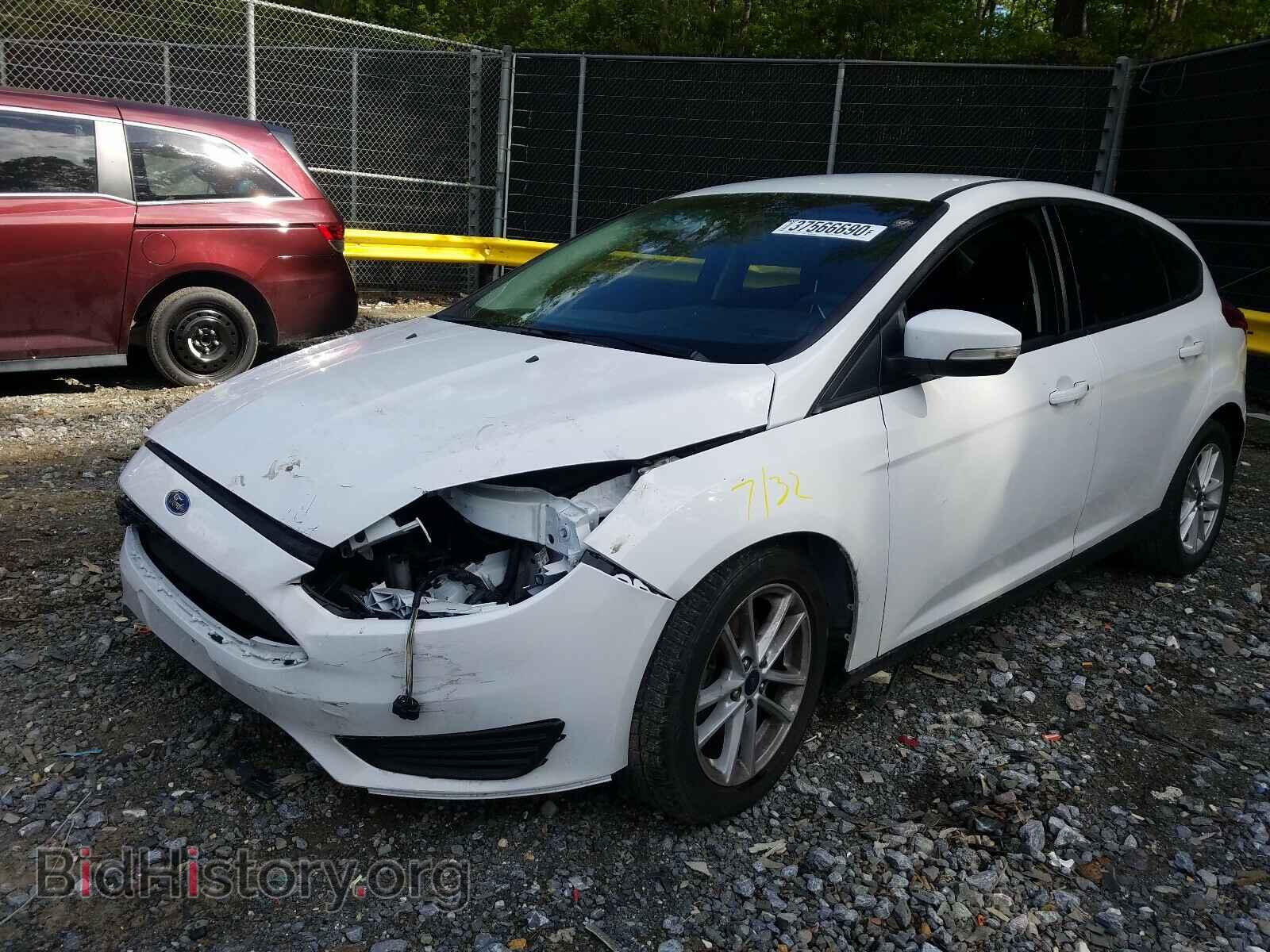 2017 FORD FOCUS - VIN: 1FADP3K21HL224701 - Фото 2