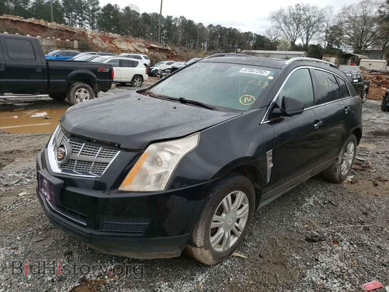 2010 CADILLAC SRX - VIN: 3GYFNAEY7AS652828 - Фото 2