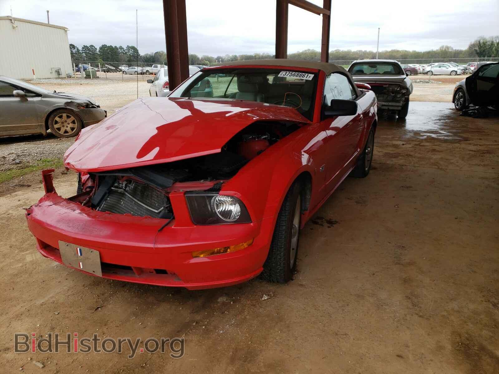 2008 FORD MUSTANG - VIN: 1ZVHT85HX85155108 - Фото 2