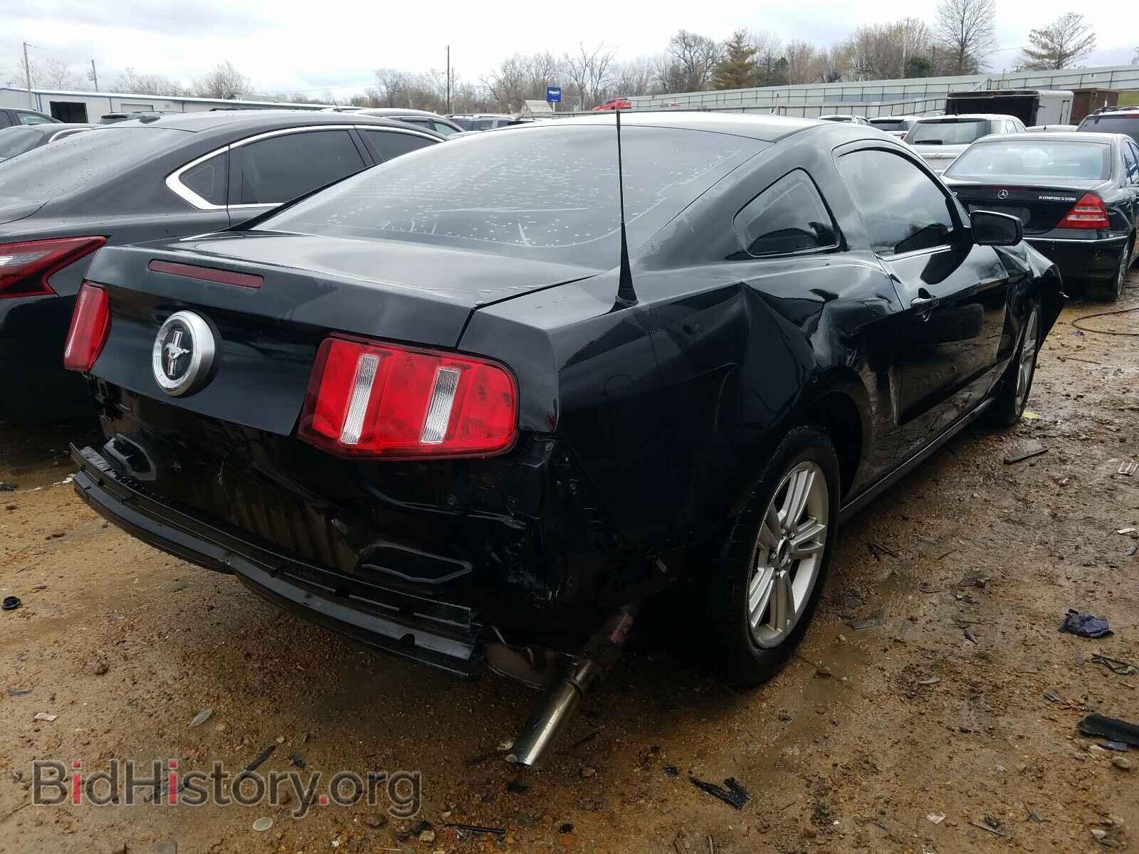 2010 FORD MUSTANG - VIN: 1ZVBP8AN9A5158920 - Фото 4