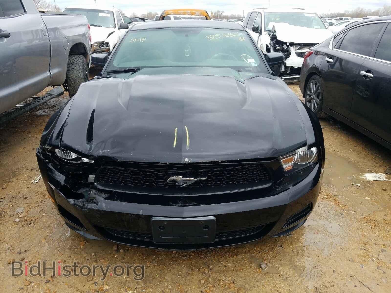 2010 FORD MUSTANG - VIN: 1ZVBP8AN9A5158920 - Фото 7