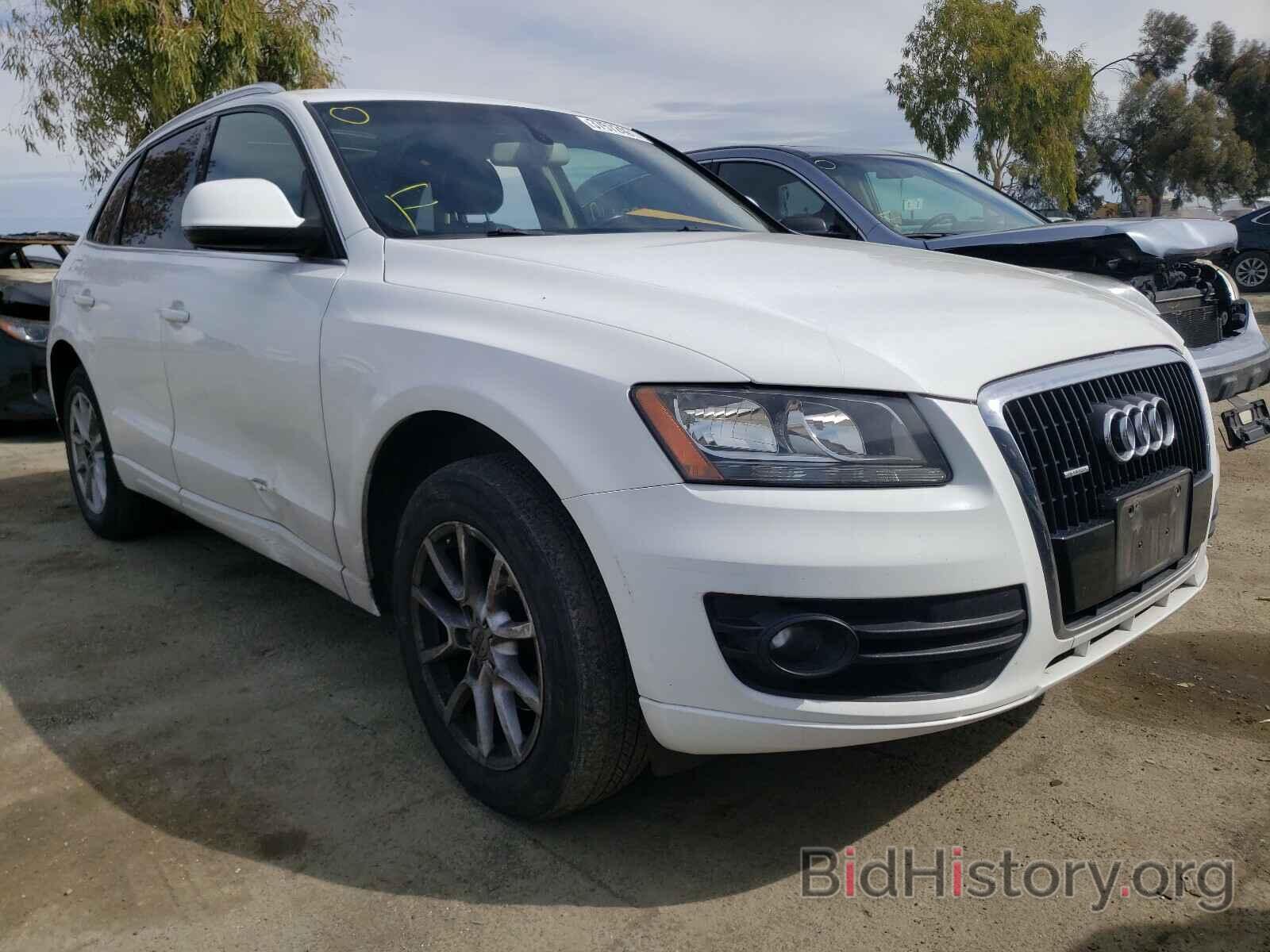 Photo WA1CKAFP0AA070198 - AUDI Q5 2010