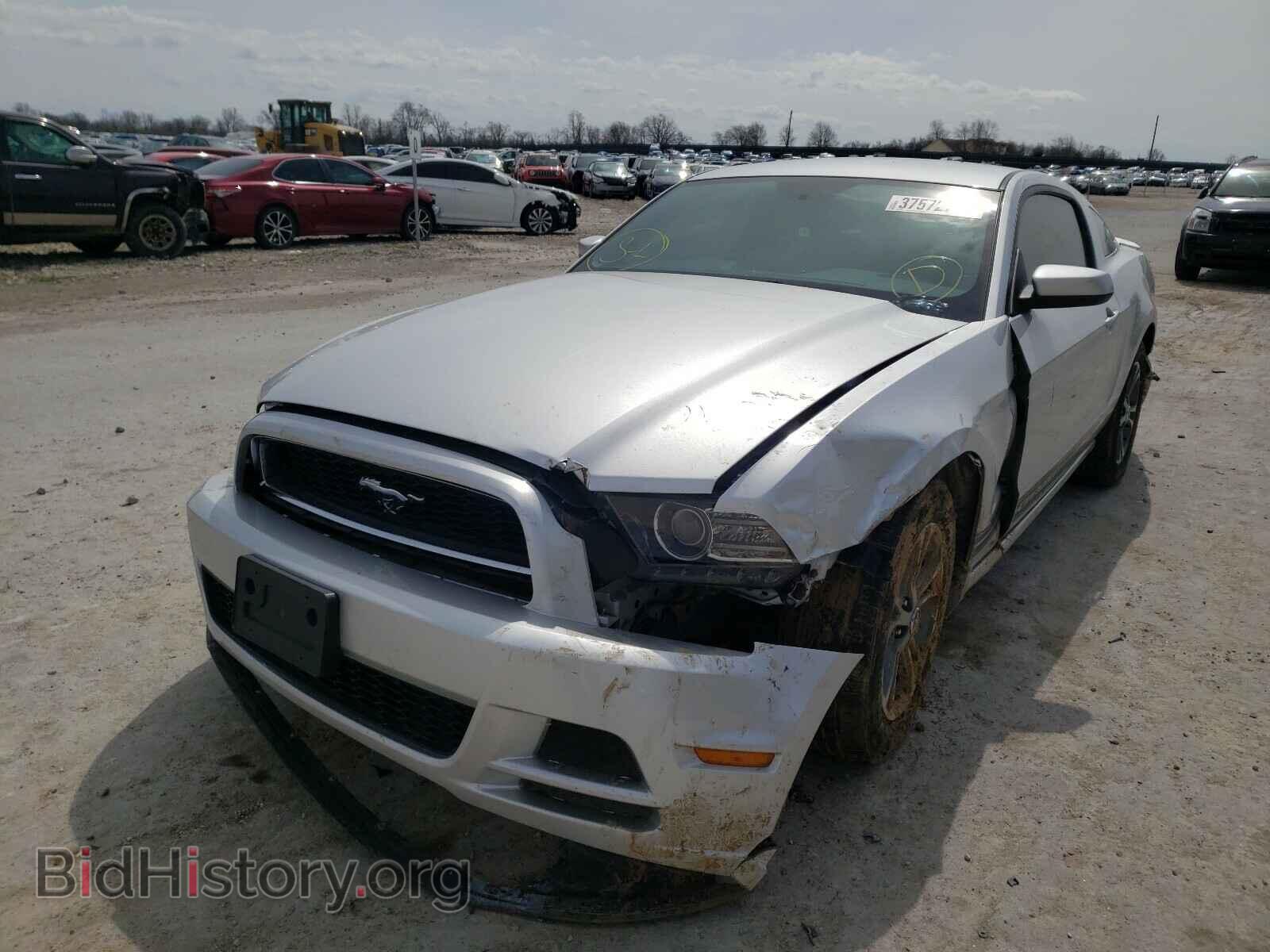 2014 FORD MUSTANG - VIN: 1ZVBP8AMXE5201335 - Фото 2