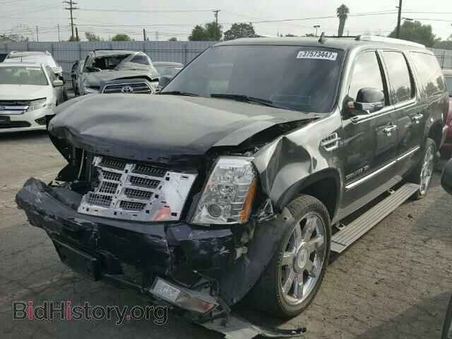 2010 CADILLAC ESCALADE - VIN: 1GYUKJEF3AR206113 - Фото 2