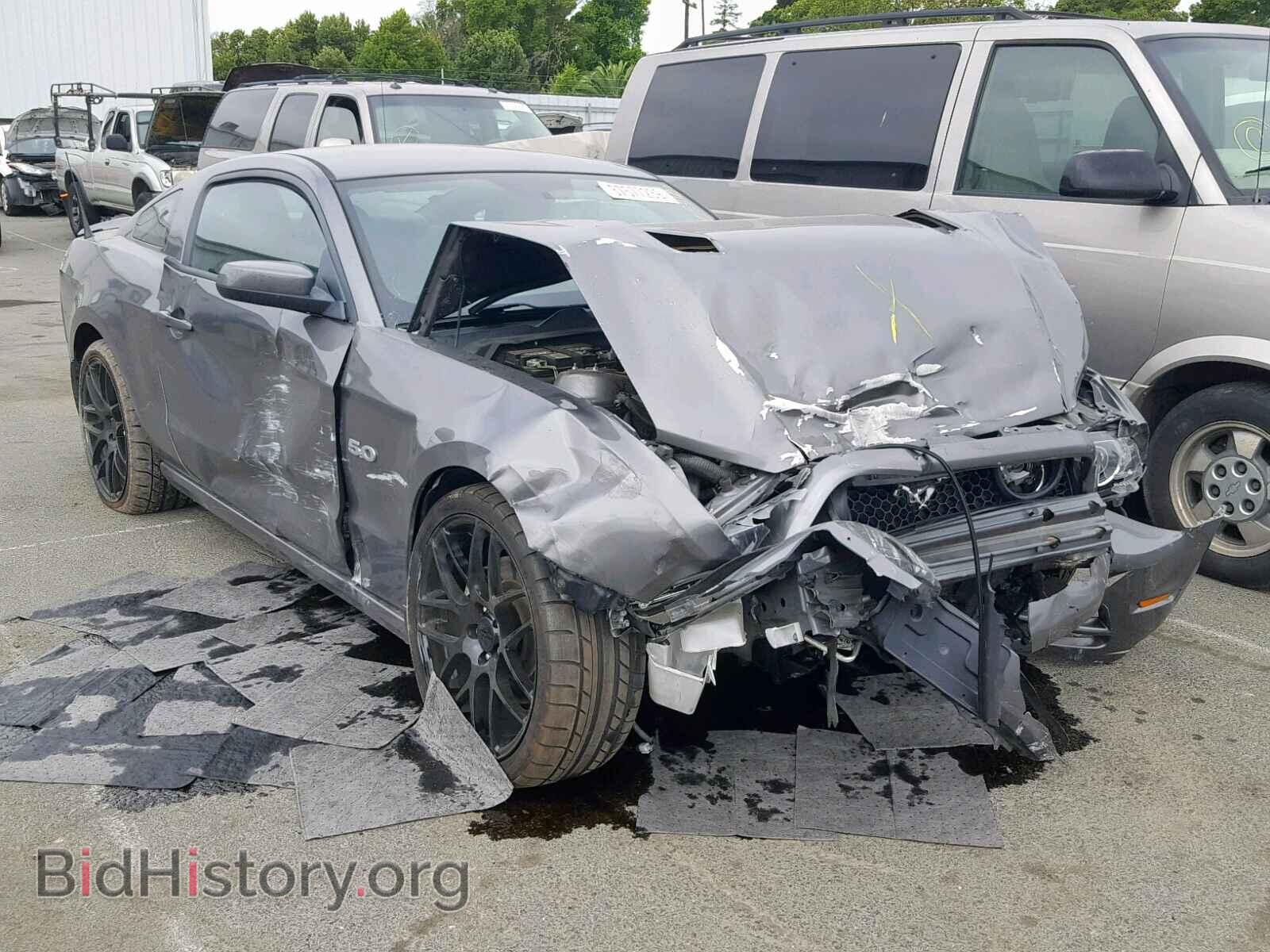Photo 1ZVBP8CF1D5229098 - FORD MUSTANG GT 2013