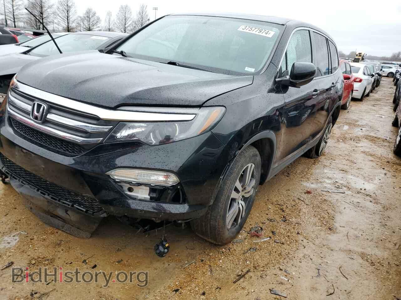 Photo 5FNYF6H52HB087904 - HONDA PILOT 2017