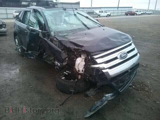Фотография 2FMDK3KC6DBC32610 - FORD EDGE 2013