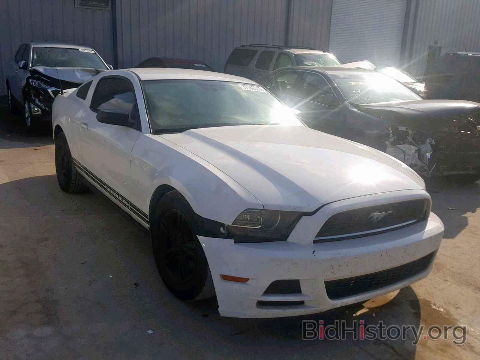 Photo 1ZVBP8AM4D5218355 - FORD MUSTANG 2013