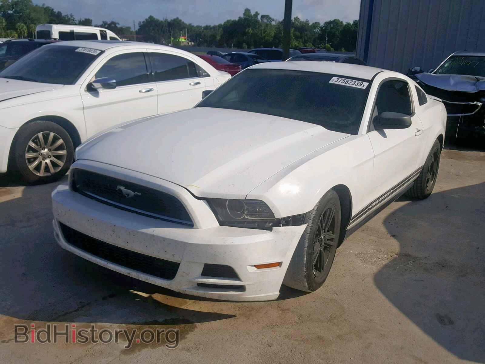 2013 FORD MUSTANG - VIN: 1ZVBP8AM4D5218355 - Фото 2
