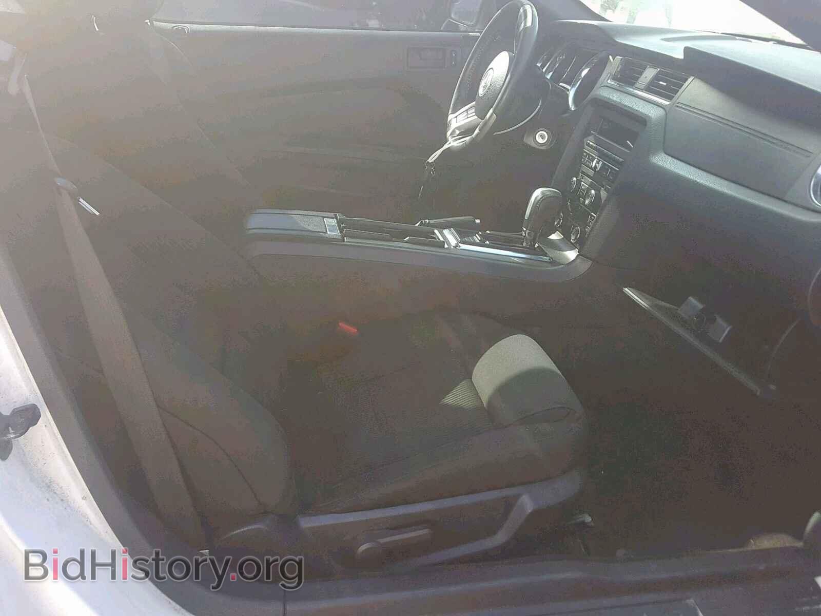 2013 FORD MUSTANG - VIN: 1ZVBP8AM4D5218355 - Фото 5